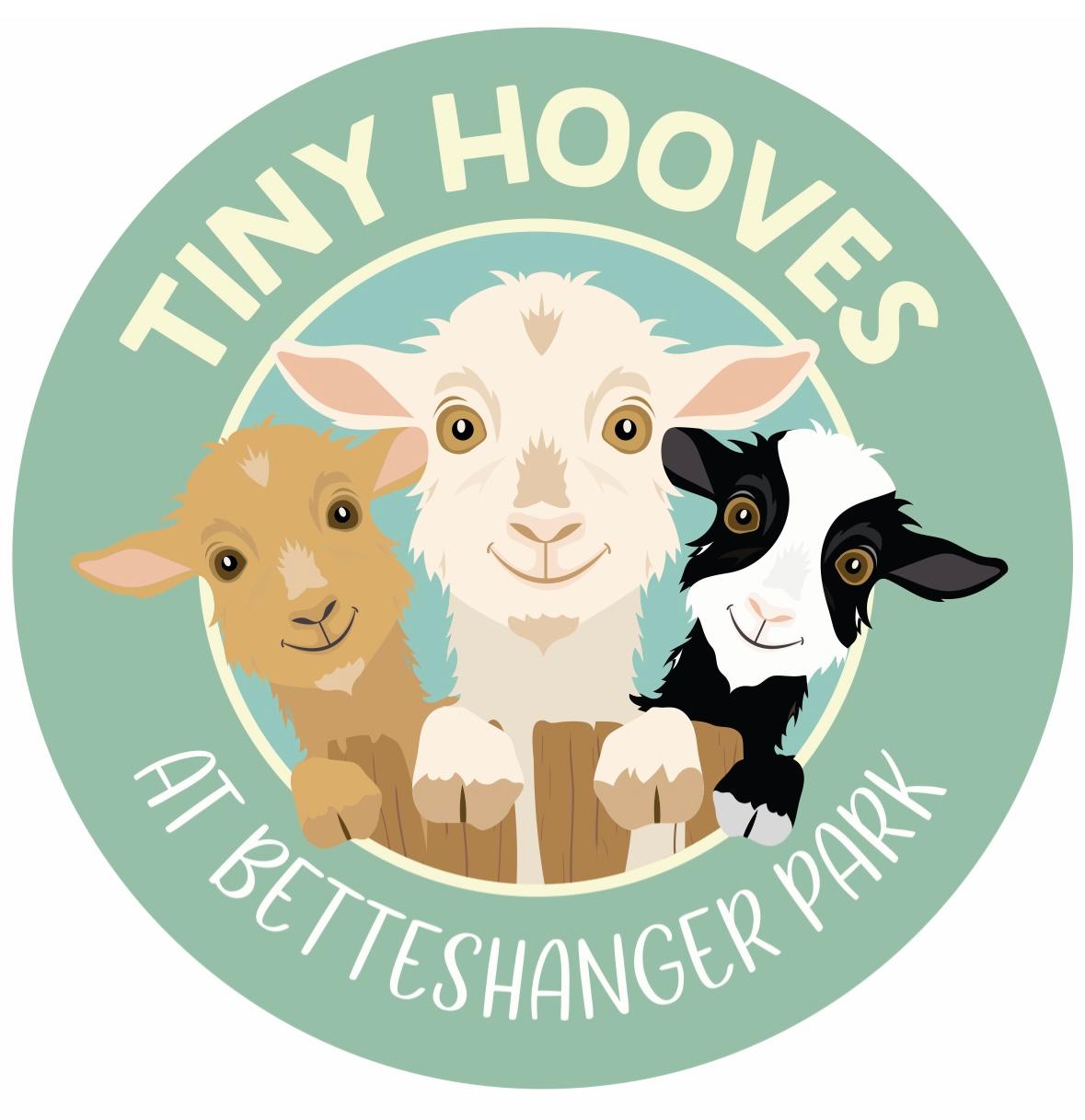 Pygmy Goat Experience at Betteshanger Park, from Betteshanger Country Park