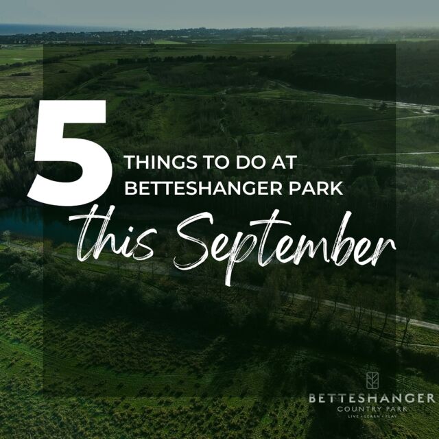 Looking for fun ways to enjoy September ? Here are our top 5 activities to try at the Betteshanger Park this month! 

 1 🚴 Cycling: Grab your bike and explore the park tracks. Perfect for all ages and a great way to get some fresh air!

 2 🎯 Target Archery: Test your aim and channel your inner Robin Hood with our target archery sessions.

 3 🪓 Axe Throwing: Unleash your adventurous side with a thrilling axe-throwing experience. Ready, aim, throw!

 4 🪨 Fossil Hunting: Discover the past hidden beneath your feet! Perfect for little explorers.

 5 🍽️ Lunch in Our Restaurant: After all that fun, relax and refuel with a delicious meal at our on-site restaurant.

Don’t miss out on these amazing activities! Which one are you most excited to try? Let us know in the comments below! 👇