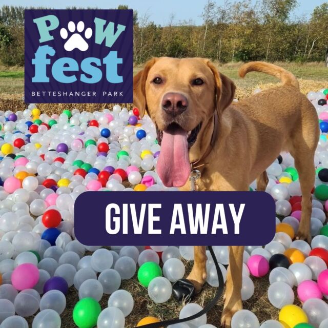 COMPETITION IS CLOSED! @claire_bear_and_family19 is the winner 🥇 

We’re giving away four tickets to PawFest and a feasting board for four at The Lamp Room (worth £50)! 🎉

To enter:
1️⃣ Like this post
2️⃣ Tag a friend in the comments
3️⃣ Share this post to your story for an extra chance to win!

The winner will be announced on Saturday , 14th September. Good luck! 🤞🍀

#Competition #Giveaway #PawFest

✨ Don’t forget to follow us so you don’t miss the winner announcement! ✨