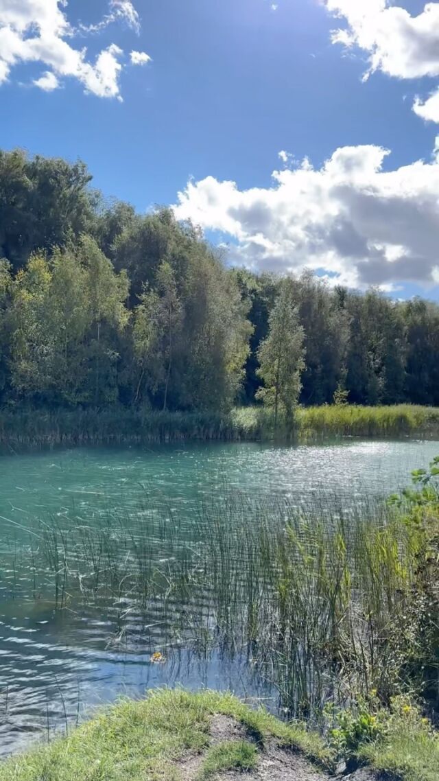 Visit Betteshanger Park for beautiful walks, fresh air, and stunning views 🌳
•
•
•
•
•
#nature #park #holidays #autumn #forest #outdoors #whattodo