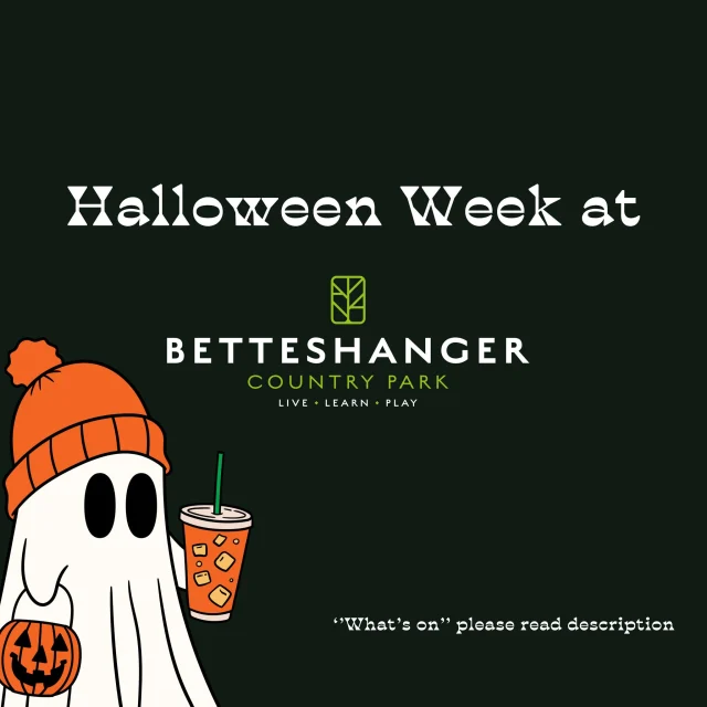 🎃 Halloween Week at Betteshanger Park! 🎃

Join us for a spook-tacular line-up of activities this Halloween week:

👻 Halloween Crafts in the Glassroom – Let your creativity run wild! Book online or simply pay at reception.

🧟‍♂️ Zombie Apocalypse Training – Prepare for the undead in a thrilling, immersive experience!

🎃 Halloween Orienteering at Betteshanger Park! Simply pop by reception, pick up your map, and set off at your own pace to explore the trails. No need for booking.

🎬 Drive-In Cinema – Enjoy a day of movies with a special menu from The Lamp Room brought straight to your car.

This week only: 🍂 The Lamp Room is open every day (Sunday last orders at 14:00) 🚴 Bike Hire closed Monday but open Tuesday – Sunday

Head down for a week of Halloween fun at Betteshanger! 👻🎃 #BetteshangerHalloween #SpookySeason #HalloweenAtBetteshanger