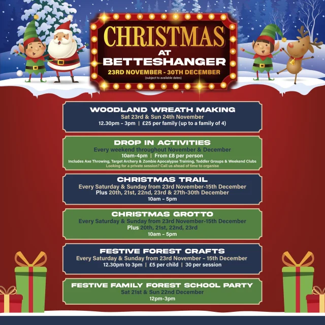 🎄✨ Celebrate the festive season at Betteshanger Park! 
*
*
*
#christmas #winter #winterholidays #newyear #festive #festiveseason