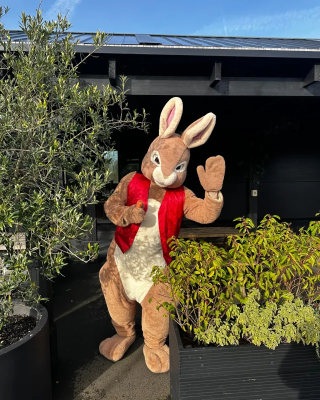 🐰 Look who hopped in early! 🐰
The Easter Bunny paid us a surprise visit today at Betteshanger Park to start scoping out the best spots for our Easter Trail, launching this April! 🌸🐣

The bunny couldn’t resist a quick bounce through the playpark and even stopped by The Lamp Room for a little snack 🥕. Preparations may be in full swing, but we’ve still got a few weeks to go – so keep your eyes peeled for more updates as we get closer to the big day! 🎉

#EasterAtBetteshanger #BunnyVisit #BetteshangerPark #Easter #EasterBunny #Holidays