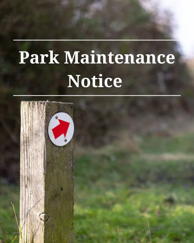 🚧 Park Maintenance Notice 🚧

We will be carrying out essential maintenance work in our park from 24th-29th February. During this time, access to certain areas will be restricted.

🔧 We appreciate your understanding and patience. The park will be back to normal and fully open on Saturday 1st March. 🌳

Thank you for your cooperation!

#MaintenanceUpdate #BetteshangerPark #ParkImprovements #BackOpenSoon