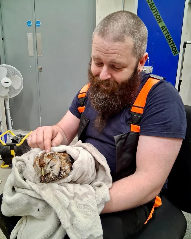 Don’t fear, Jim is here! 🦉🦸‍♂️

Last week, whilst organising our Forest School, Leader Jim heard a sad ‘hoot’ and found our new friend, ‘Ollie’ hidden amongst the leaves. 

Unfortunately, Ollie had damaged his wing and so we rescued him, nursing him for a while before ensuring his safety with the Kent Wildlife rescue.
As you can see, Jim and Ollie created quite the bond!

We hear that Ollie is recovering well and we hope to return him to the park in a few weeks. We will let you know when he is back safe and sound. 

#nature #wildlife #rescue #birds #owls #park