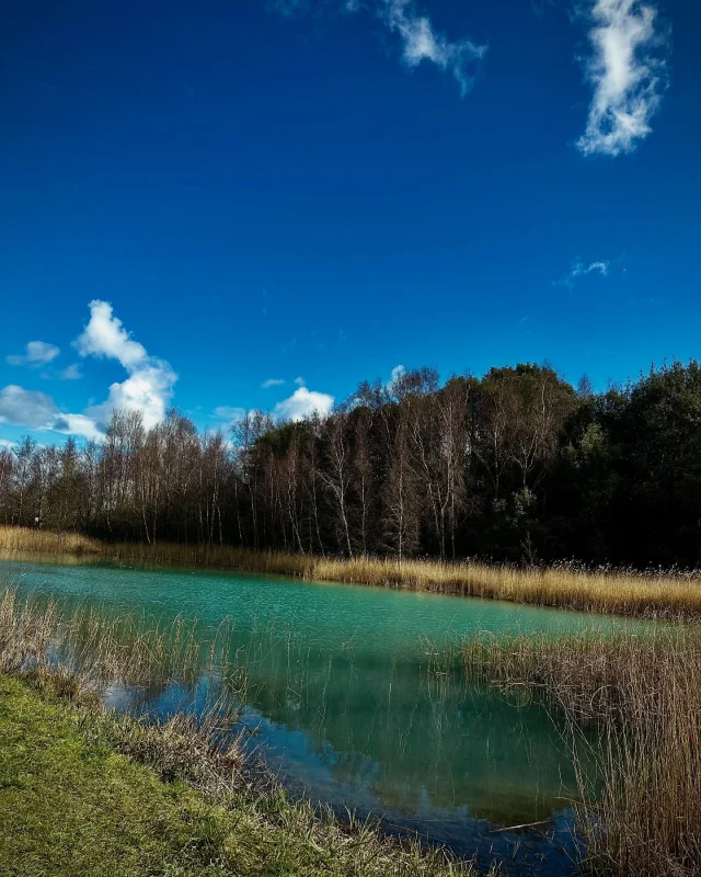 Amazing day to visit Betteshanger Park. Grab a bike from @eflow_cycles and have a ride to our blue lake🐟

Don’t forget to pop in to @thelamproombcp after 🚲

#park #cycling #activities #deal #kent #family