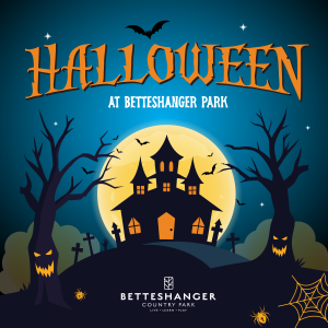 Halloween Trail and Pumpkin Patch