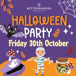 Halloween Party