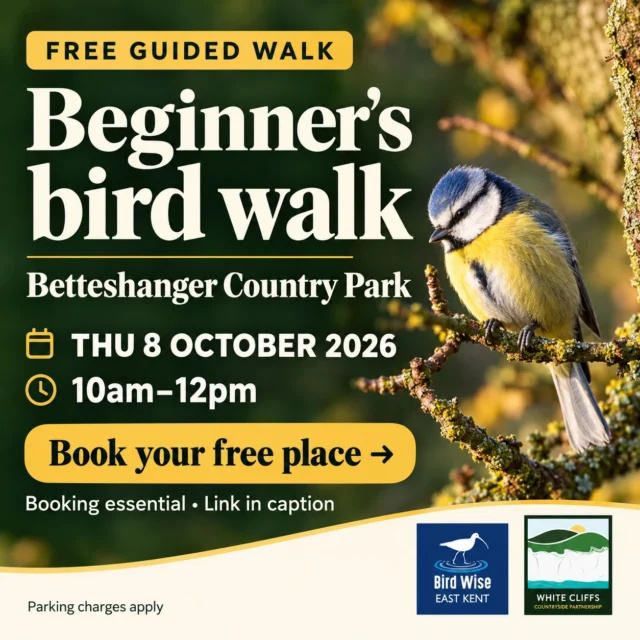 🐦🍂 Discover the birds of Betteshanger Park this autumn!

Join Ranger Helena from White Cliffs Countryside Partnership and Ranger Sam from Bird Wise East Kent for a FREE beginner’s bird walk at Betteshanger Country Park.

Enjoy a gentle walk, pick up bird identification tips and look out for autumn visitors as migration season brings the chance of some exciting sightings!

Perfect for beginners and budding wildlife enthusiasts of all ages. Bring binoculars if you have them (a limited number will be available to borrow)

🎟️ Free to attend, but booking is essential. Please book a ticket for everyone attending, including children. Under-16s must be accompanied by an adult.

👉 Book your place here:
https://bookwhen.com/wccp/e/ev-s92ko-20261008100000

Parking charges apply.

#BetteshangerCountryPark #BirdWatching #KentWildlife