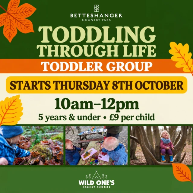 Our Toddling Through Life toddler group starts on Thursday 8th October! 🌿

Join us at Wild Ones Forest School at Betteshanger Country Park for a chance to explore, discover and learn from nature with your little ones.

📅 Thursdays, starting 8th October
🕙 10am–12pm
🌱 For children aged 5 and under
💛 £9 per child
🚗 Free parking

Children must be accompanied by an adult.

For enquiries and bookings, visit:https://betteshanger-park.co.uk/activities/forest-school/