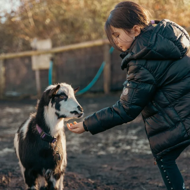 🌳 Something for EVERYONE at Betteshanger Country Park! 🐐☕🚴

Wondering what to do this week? We've got you covered! 💚

Whether you're looking for fun, adventure, learning or a little time to relax, there's something for everyone here at Betteshanger!

🐐 Goat Walking with Tiny Hooves – Enjoy a unique outdoor experience with some adorable four-legged friends!

☕ Café Catch-Ups – Take a break, grab a coffee and enjoy a tasty treat!

🧸 Toddler Group – Little adventures and big smiles for our youngest explorers!

🌿 Home Ed Group – Learn, explore and discover in the great outdoors!

🚴 Cycling Adventures – Get those wheels turning and explore our beautiful trails!

🛝 Play Park Fun – Climb, play and burn off some energy!

✨ Big adventures, little moments and everything in between… all in one place!

📸 Swipe through to see what you could get up to and start planning your week with us!

📍 Betteshanger Country Park, Deal, Kent

💚 What's first on your Betteshanger to-do list? Let us know below! 👇

#BetteshangerCountryPark #SomethingForEveryone #PlanYourWeek #TinyHooves #GoatWalking #FamilyDaysOut #ExploreKent #OutdoorAdventures #VisitKent