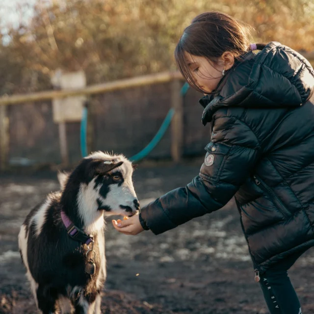 🐐 Tiny hooves. BIG personalities!

Fancy some different company on your next walk? Join Tiny Hooves here at Betteshanger Country Park for a stroll with their cheeky pygmy goats. 🌿

Enjoy some fresh air, get to know your four-legged walking buddy and have your camera ready...these little characters have a habit of stealing the spotlight! 📸

Tag someone you’d love to go goat walking with. 👇

#BetteshangerCountryPark #TinyHooves #GoatWalking #DaysOutInKent #VisitDeal