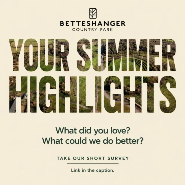 What made your summer at Betteshanger special?

Whether you came for an event, a party, the playpark, museum, Boonies, the trails or a cycle ride...we’d love to hear from you.

Tell us what you enjoyed, what we could improve and what you’d love to see next. Your feedback will help our team make future visits even better. 💚

Share your thoughts in our short survey:
https://tally.so/r/OQDlrR