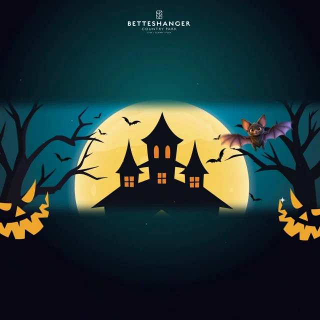 There’s more Halloween fun waiting at Betteshanger Park! 🎃

Join us for our Woodland Trail & Pumpkin Patch:

📅 24th October – 1st November
🎟️ £15 per child, including 2 adults and a small pumpkin
👻 Additional adults £4

Gather your little monsters and make it a family adventure!

Book now 👉 https://betteshanger-park.co.uk/event/halloween-trail-and-pumpkin-patch/

#BetteshangerPark #HalloweenInKent #FamilyDaysOut